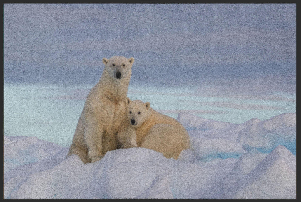 Fussmatte Eisbär 4809-Matten-Welt