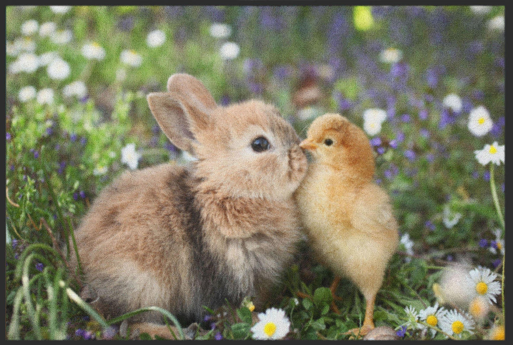 Fussmatte Küken und Hase 4537-Matten-Welt