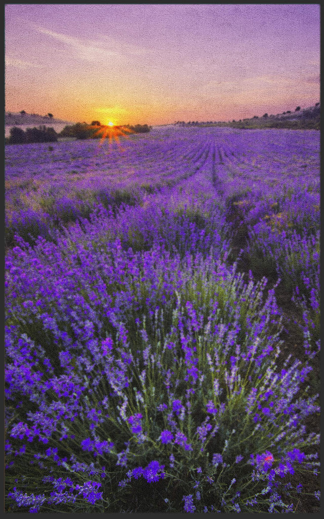 Fussmatte Lavendel 7139-Matten-Welt