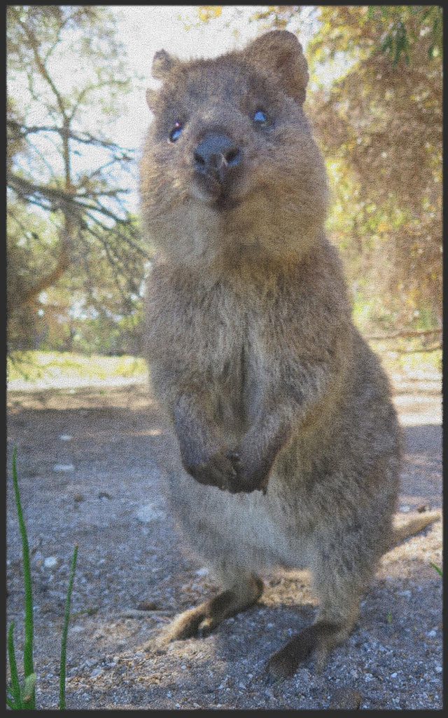 Fussmatte Quokka 7322-Matten-Welt