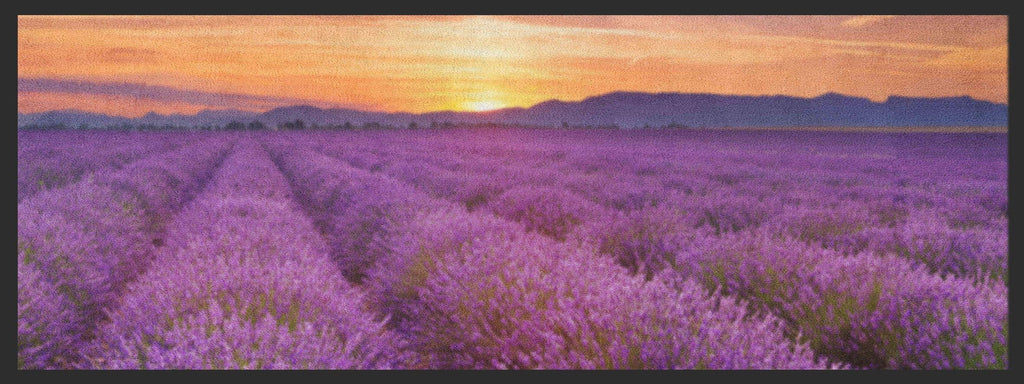 Küchenteppich Lavendel 4366-Matten-Welt